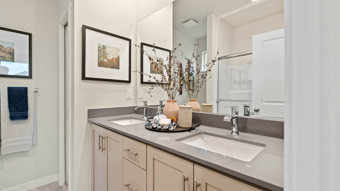 Stevens Ranch primary bathroom with quartz countertops, plants, cabinets, mirror, painting, and sink
