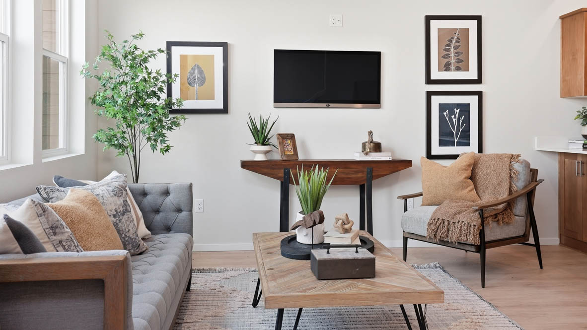 Stevens Ranch Townhomes great room with a wooden coffee table, wooden side table, lamp, gray couch, windows, tv, credenza, chair, three paintings, decorative plants, and a rug
