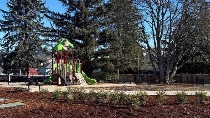 Whitebeam Estates Playground