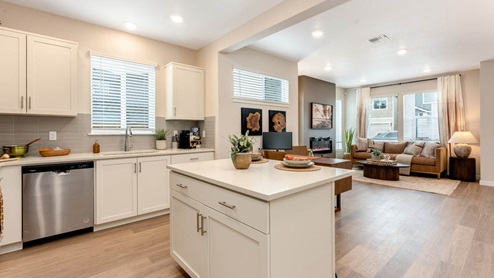 Scholls Meadow Kitchen with stools, kitchen island, quartz countertops, white shaker cabinets, windows, paintings, stainless steel dishwasher