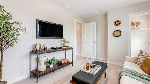 Scholls Meadow staged bedroom with tv, white walls, carpet, tree, black coffee table, entertainment center, white couch with throw couch