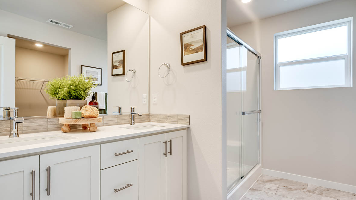 Davis Estates Primary Bathroom with white cabinets, quartz countertops, mirror, decorative plant, painting, walk in shower