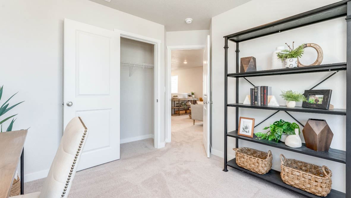 Davis Estates closet, carpet, and shelving