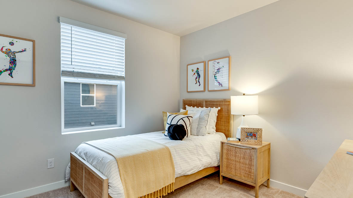 Davis Estates closet, carpet, and shelving