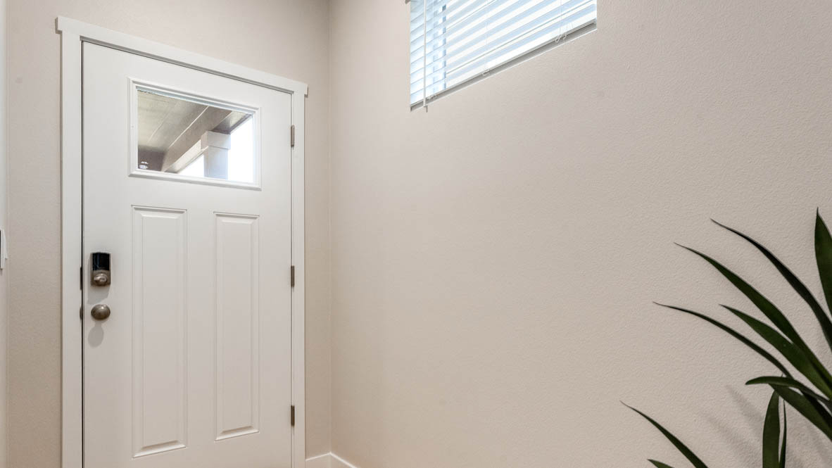 Davis Estates entry with a window, a snake plant, a door