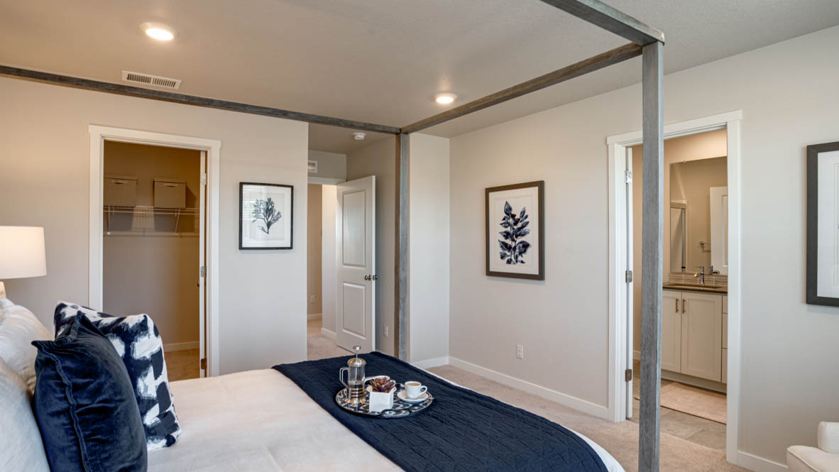 Davis Estates primary bedroom with carpet, window, and white walls