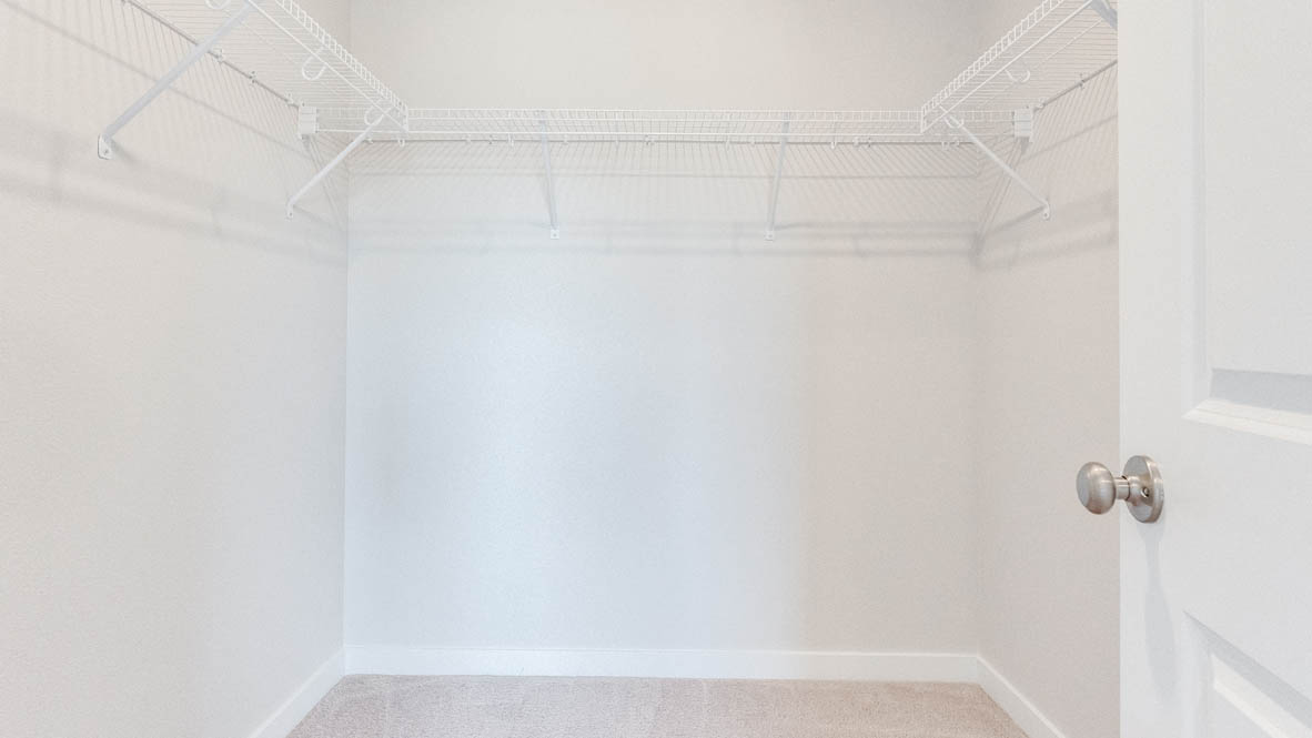 Davis Estates walk in closet