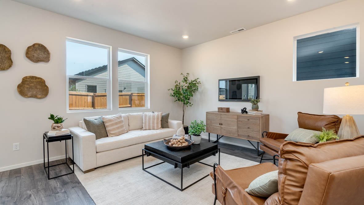 Marcola Meadows great room with carpet, coffee table, white couch with pillows, orange chair, entertainment center with tv, painting, and a lamp