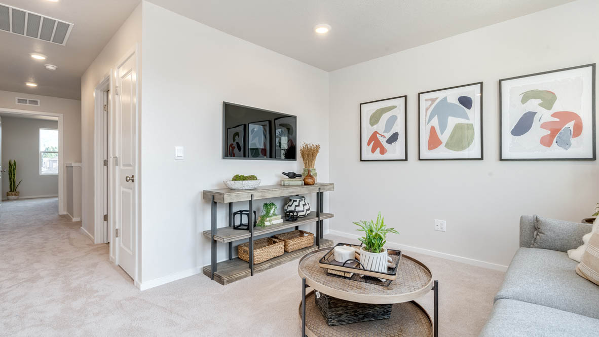 Marcola Meadows loft with carpet, coffee table, entertainment center, gray couch with pillows, plants, paintings