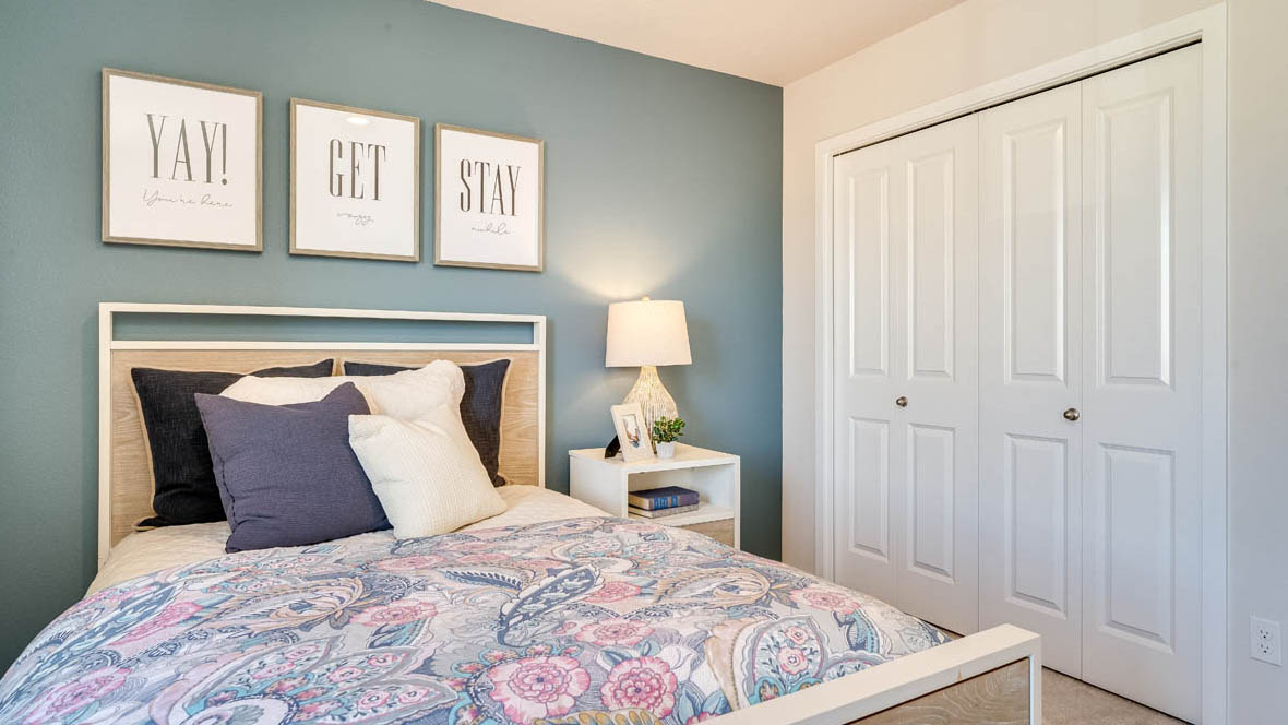 Marcola Meadows Room with blue accent wall and window