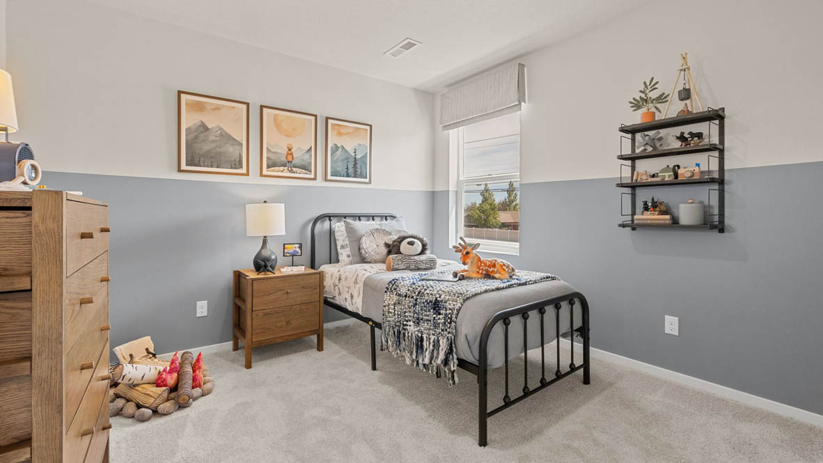 Monrovia Bedroom with outdoor theme, the top half of the walls are white and the bottom half are a light blue-gray color, metal rod bed frame, carpeting, and a wooden dresser