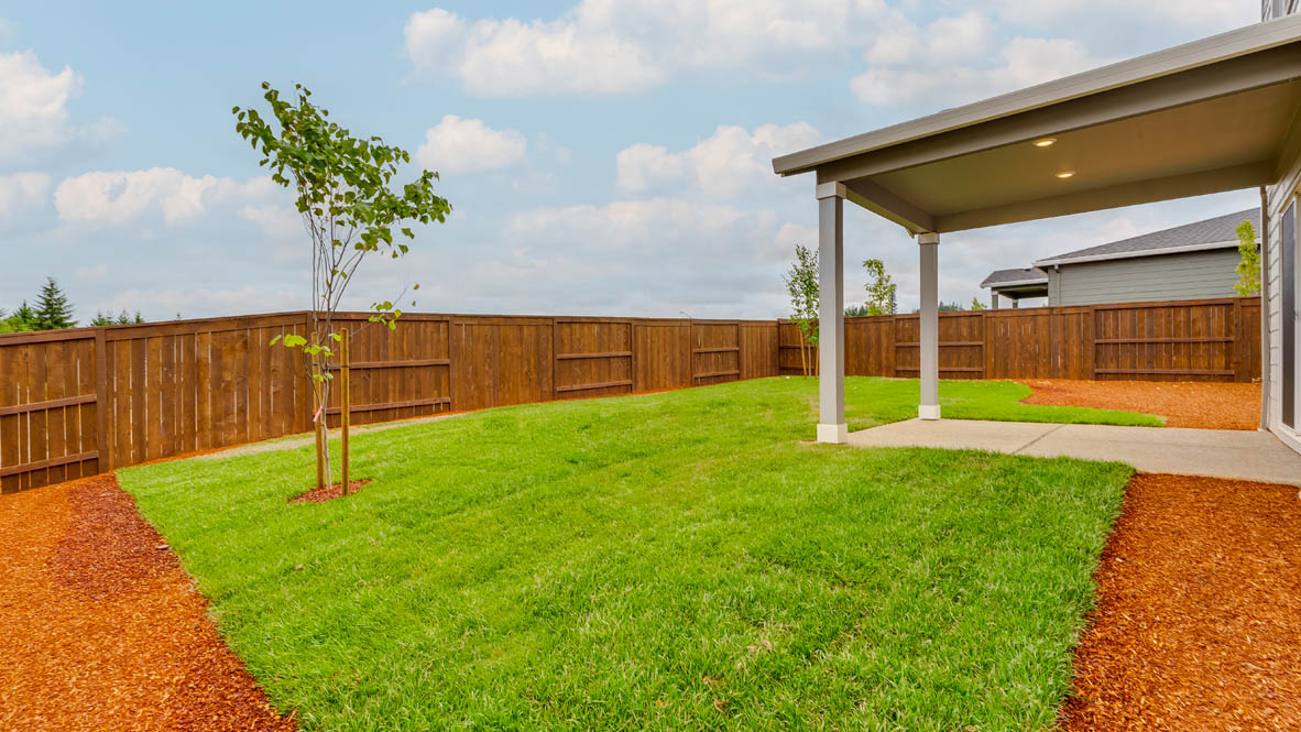 Sorrento Estates backyard