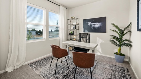 A bedroom that has an office desk and chair with two brown chairs facing the desk like an office. There is a painting hanging behind the desk as well as a display cabinet to the left and a plant to the right. There are two windows framed by white curtains and a grey patterned rug.
