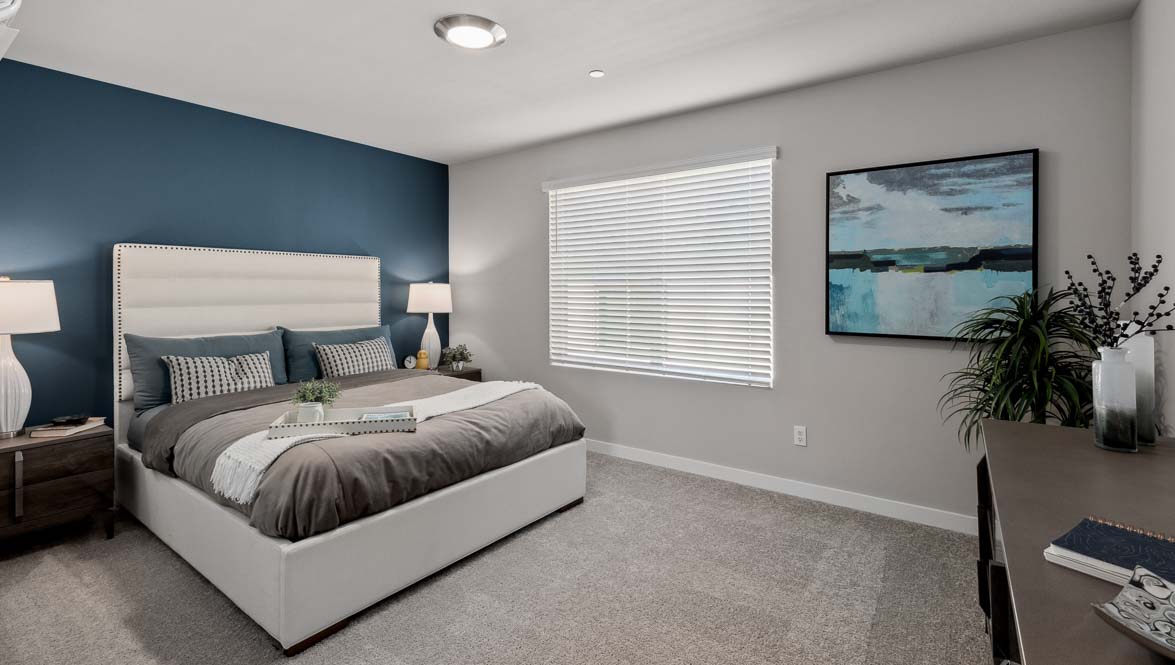 Primary bedroom with upholstered bed, blue accent wall, bedside tables, large window, and contemporary decor.