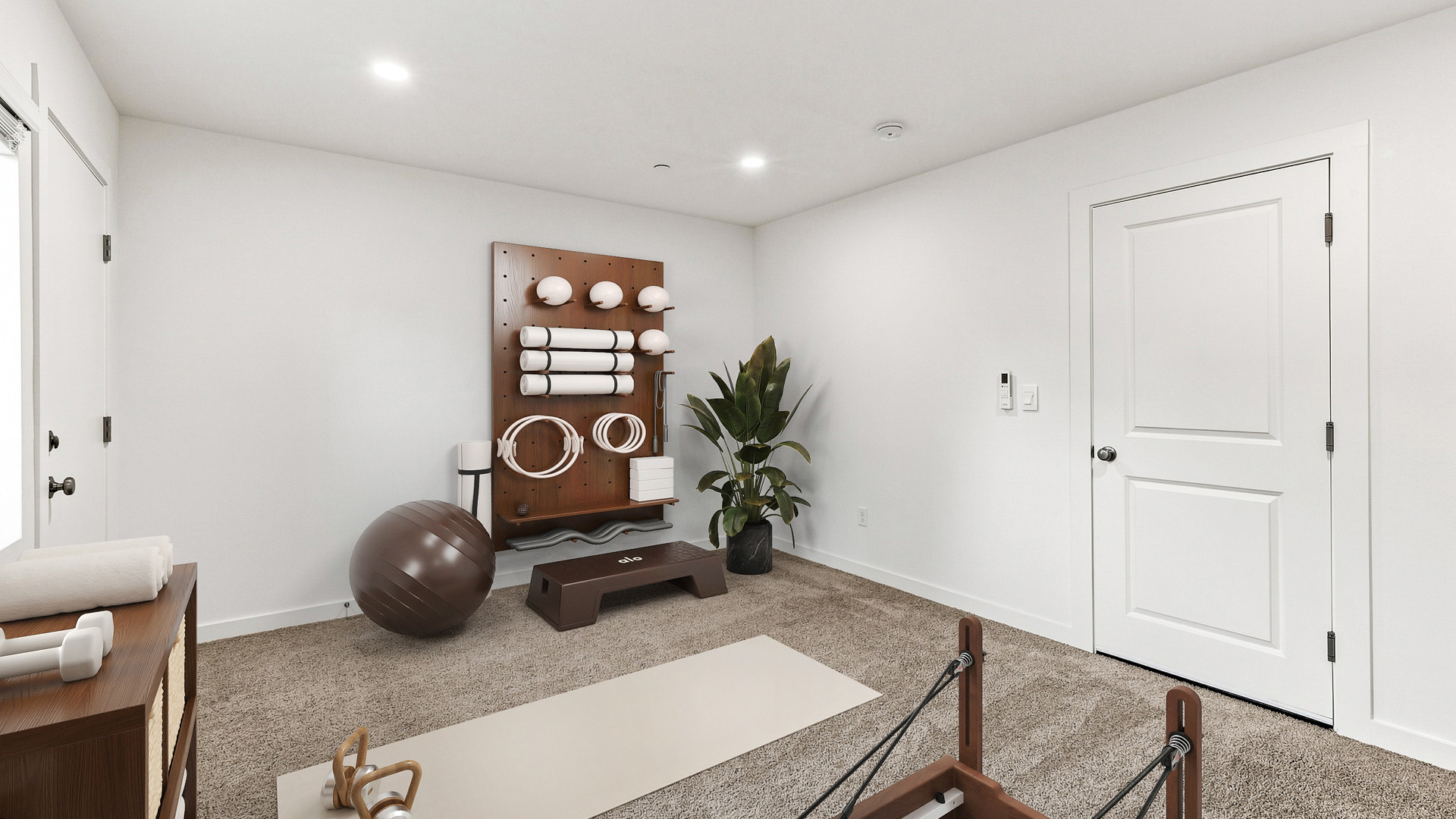 Home fitness room with exercise equipment, storage wall, stability ball, potted plant, and carpeted floor.