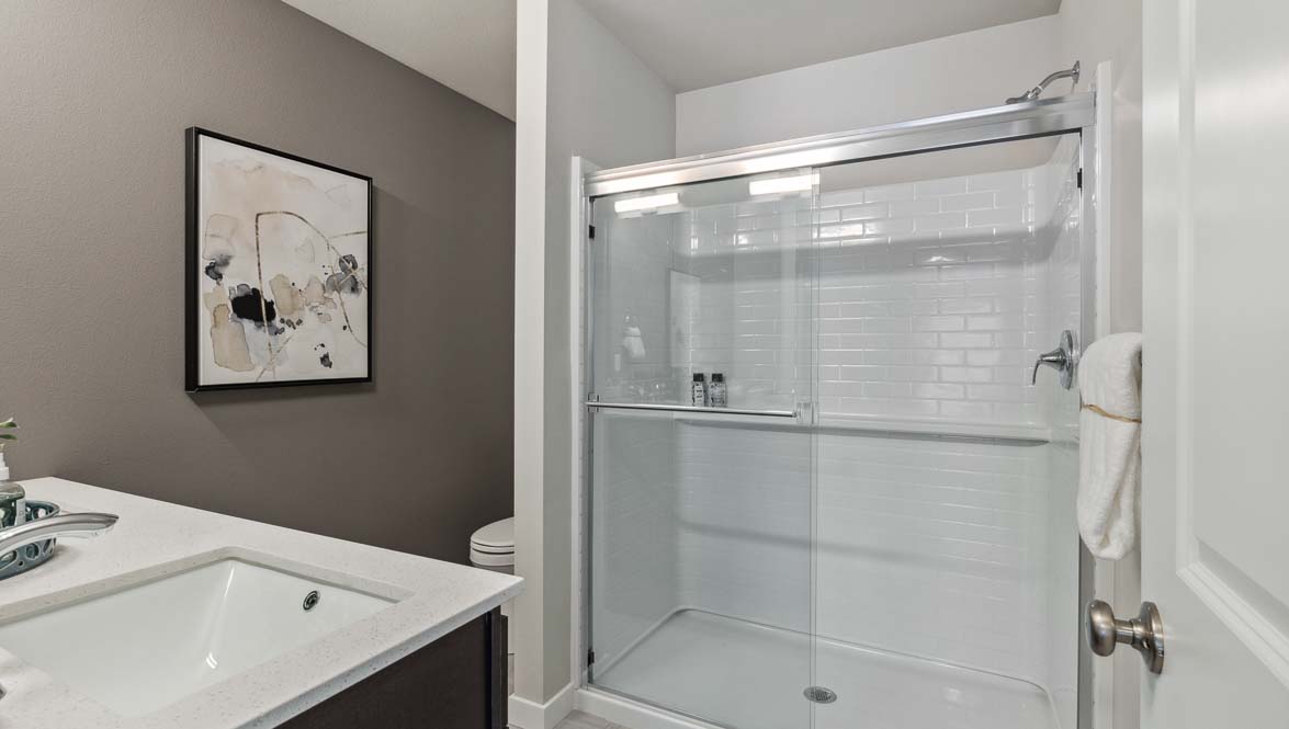 Primary bathroom large step in shower