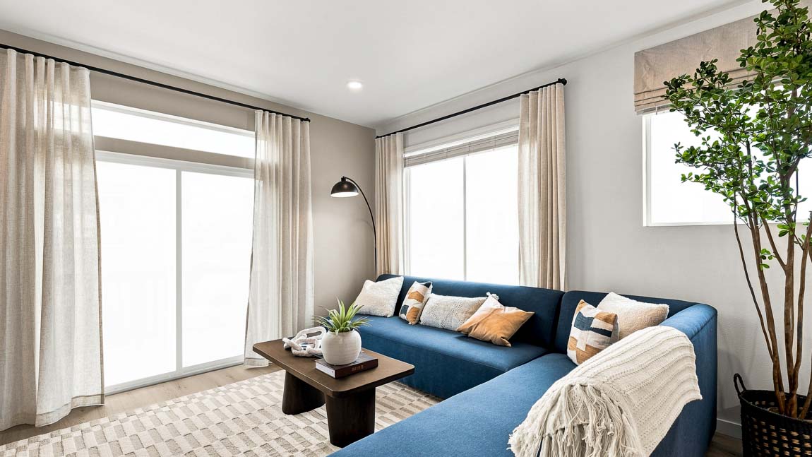 Bright living room with a blue sectional sofa, neutral pillows and throw, dark wood coffee table, patterned rug, tall potted tree, and large curtained windows.