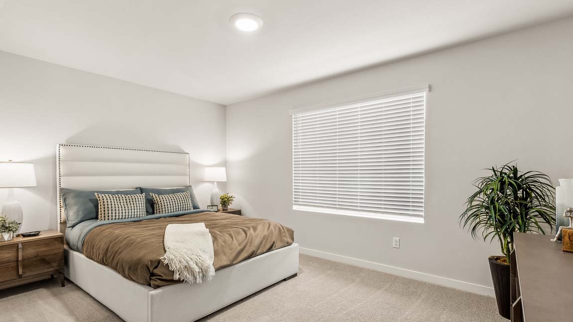 Spacious primary bedroom in a new construction home featuring plush carpeting, a large upholstered bed, abundant natural light, and a peaceful, contemporary design.