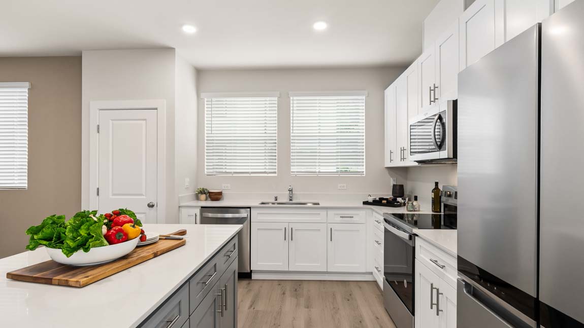 Large windows in kitchen providing lots of natural light and wonderful pantry