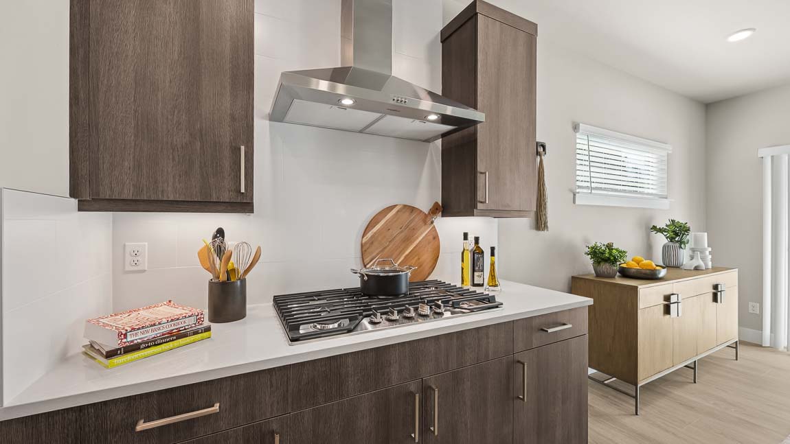 Contemporary style cabinetry in gourmet kitchen