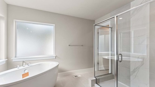 Large step in shower in primary bathroom