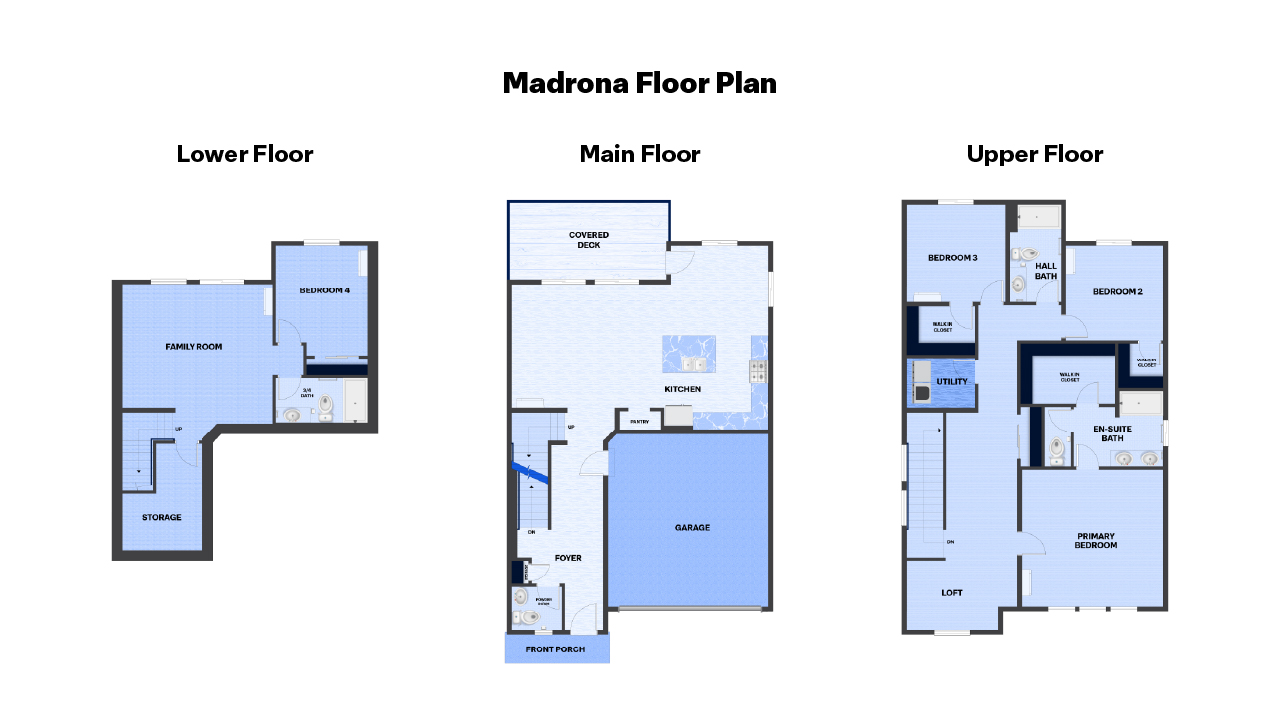 Floor plan of Madrona at Ashton Park