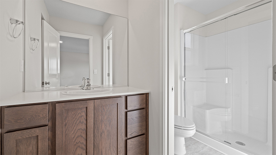 Primary bathroom with quartz counters and a walk-in shower