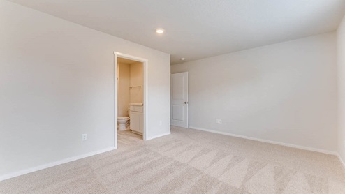 primary bedroom with attached bathroom, wall-to-wall carpet, and a walk-in closet