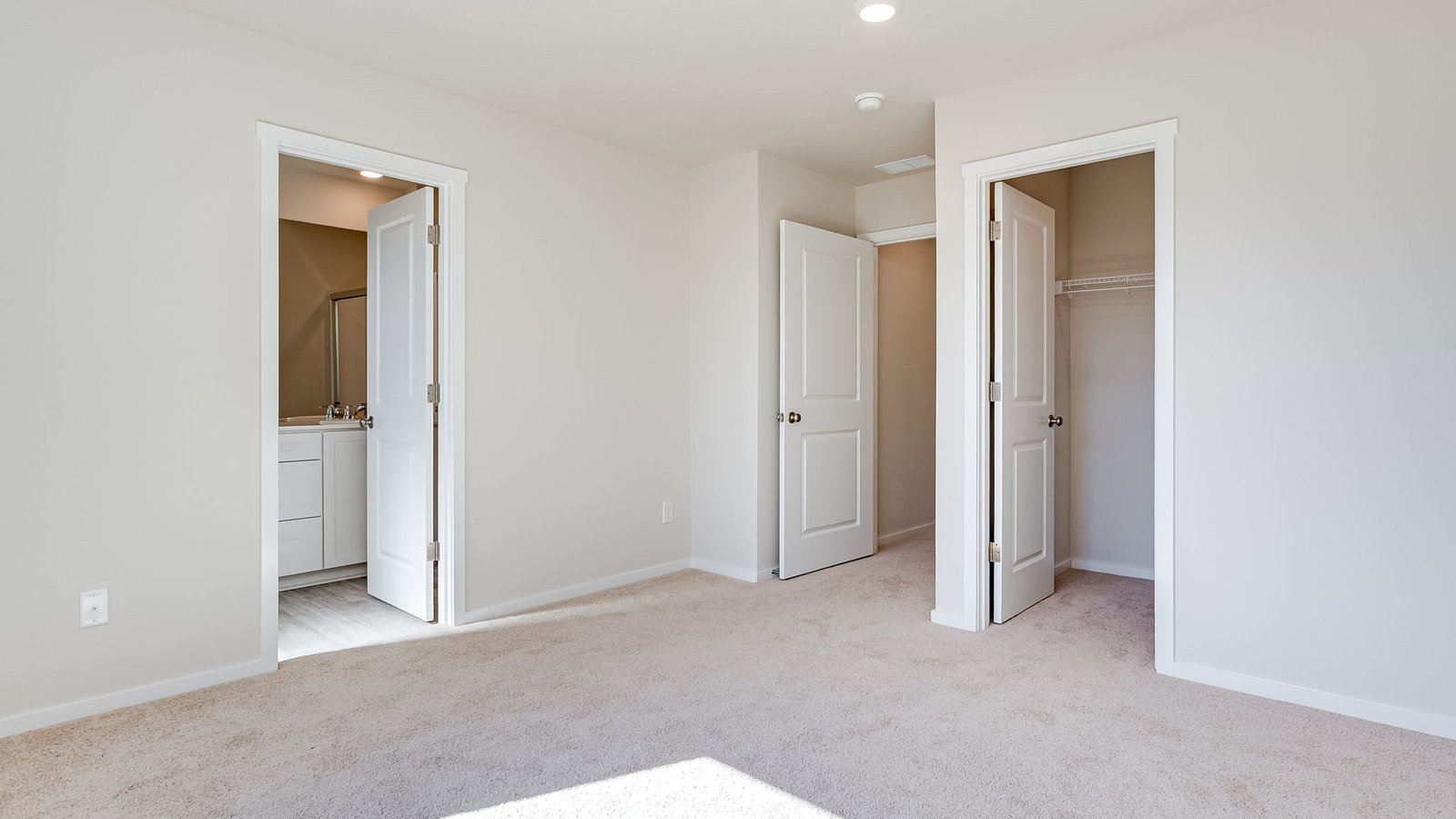 Primary bedroom with wall-to-wall carpet, a walk-in closet and an attached bathroom
