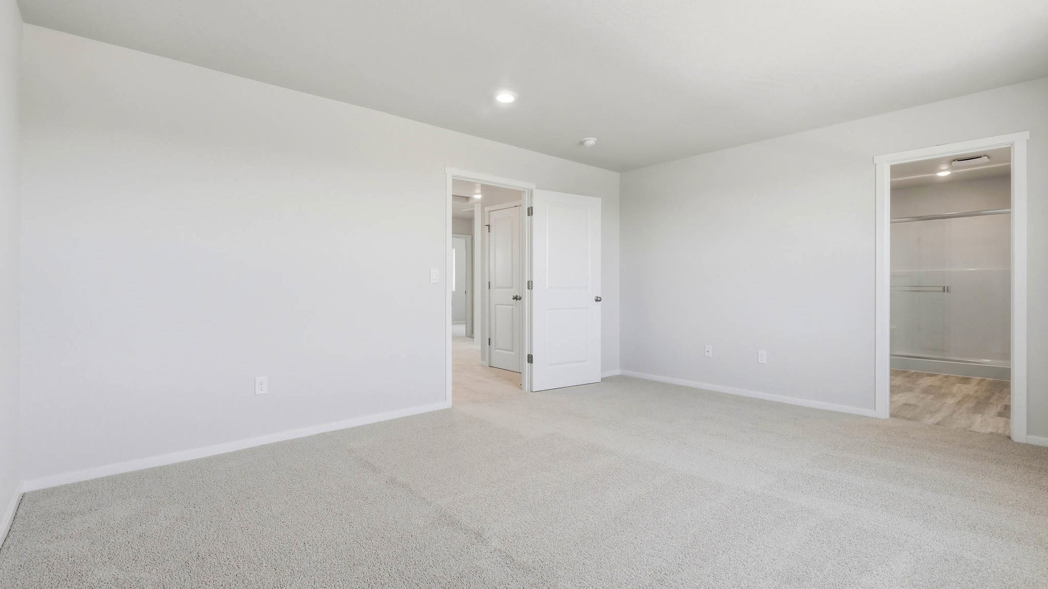 Primary bedroom with wall-to-wall carpet, a walk-in closet and an attached bathroom