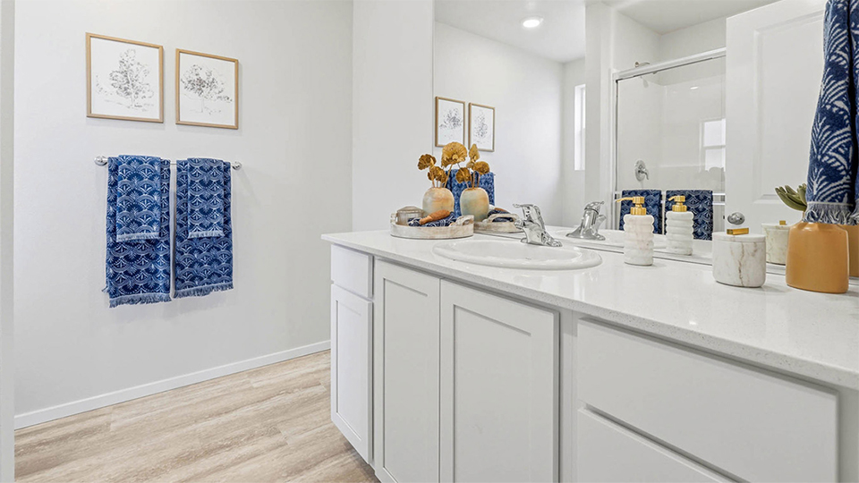 Primary bathroom with quartz counters and a walk-in shower