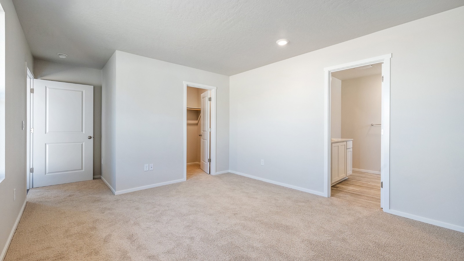 Primary bedroom with wall-to-wall carpet, a walk-in closet and an attached bathroom