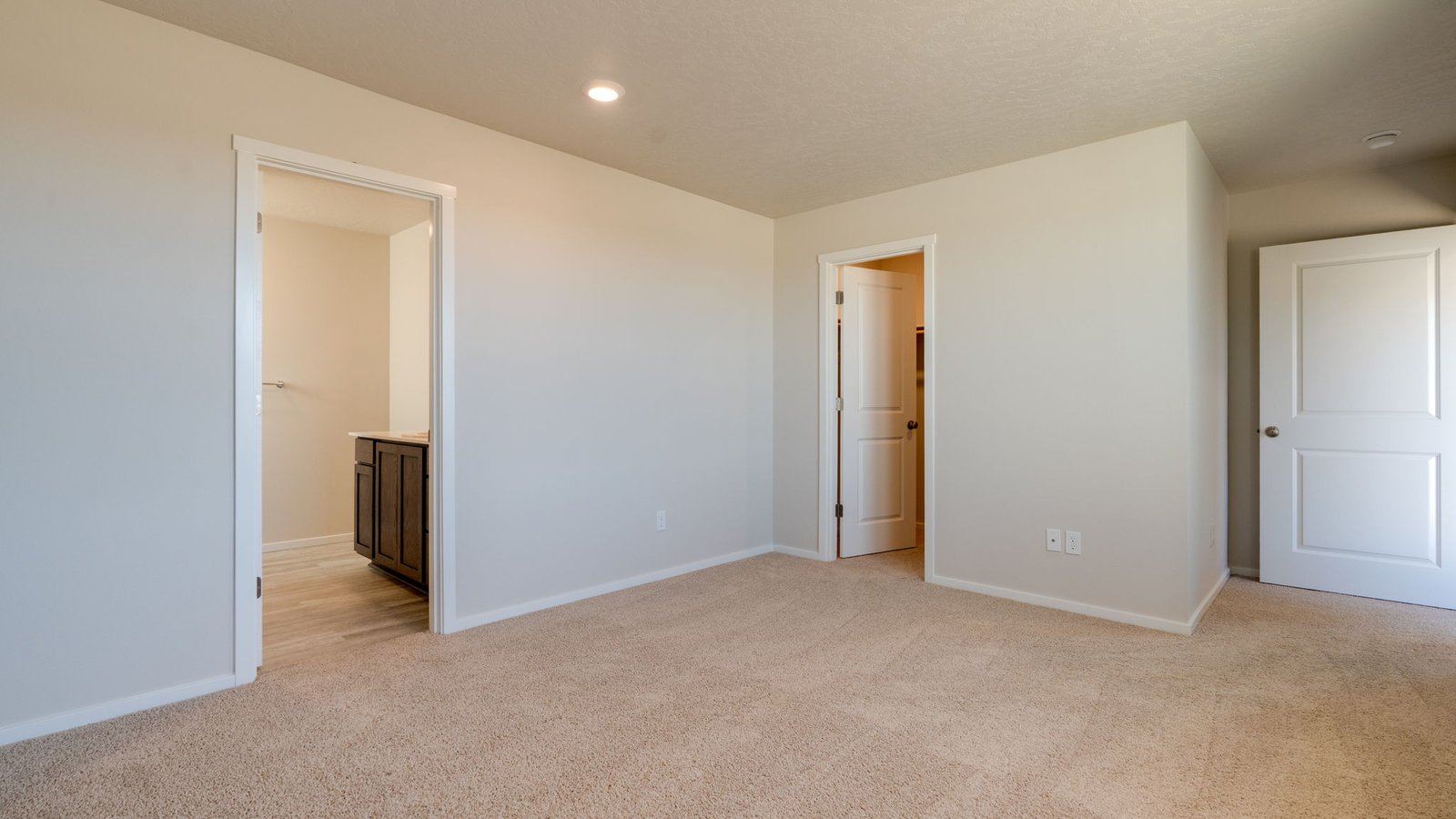 Primary bedroom with wall-to-wall carpet, a walk-in closet and an attached bathroom