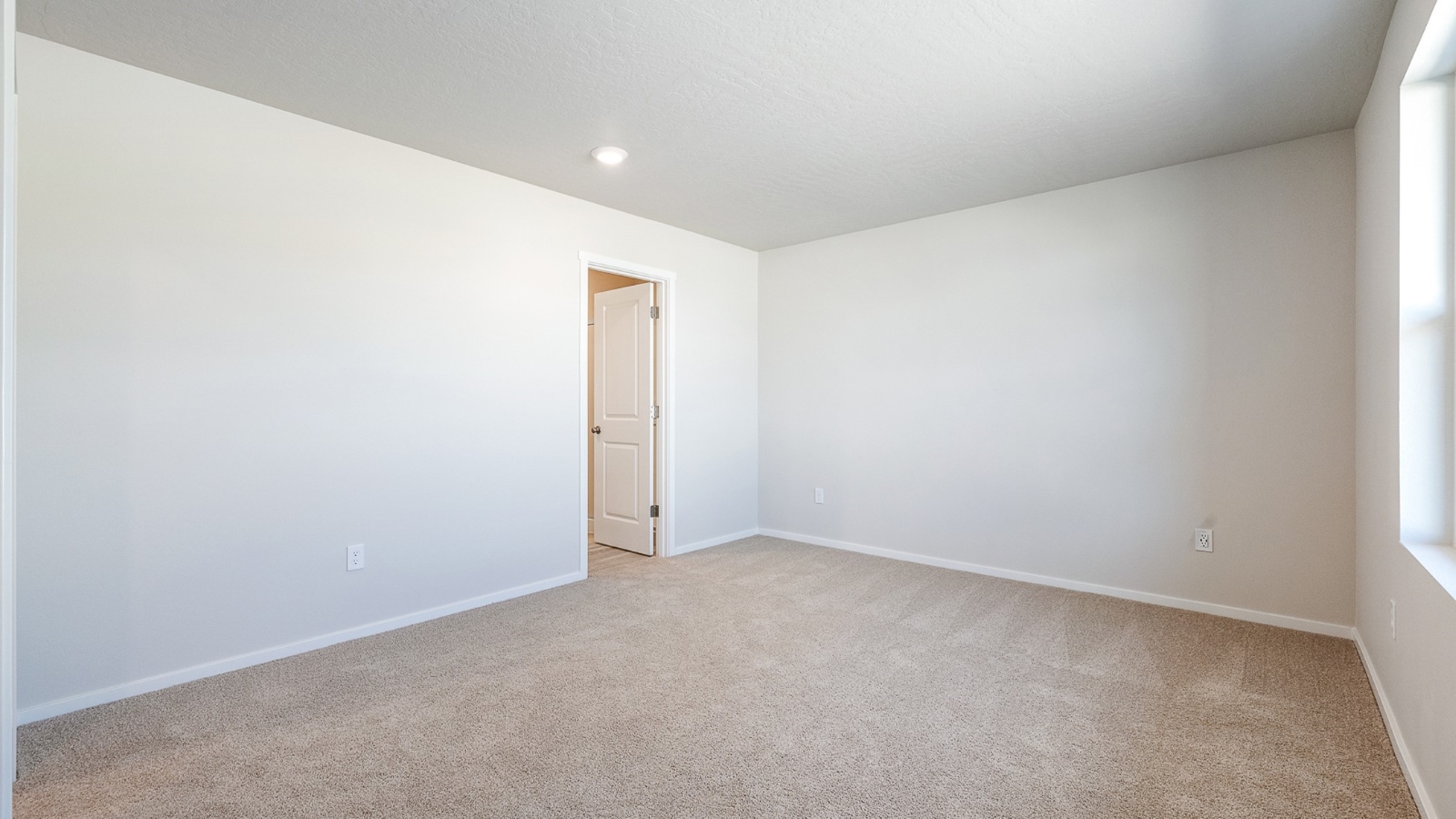 Primary bedroom with wall-to-wall carpet, a walk-in closet and an attached bathroom