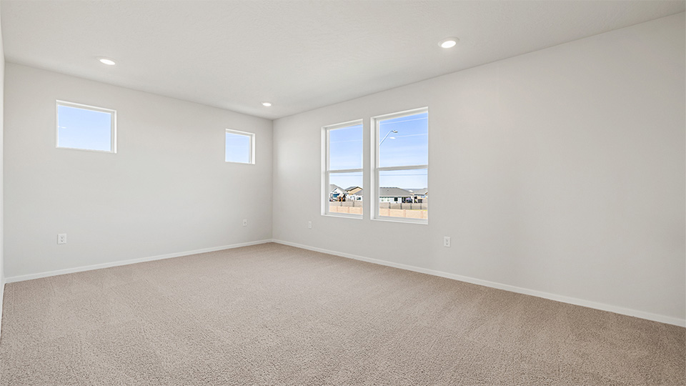 Primary bedroom with wall-to-wall carpet, a walk-in closet and an attached bathroom