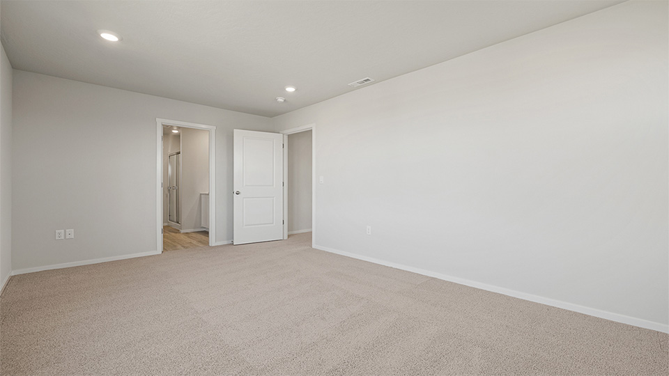 Primary bedroom with wall-to-wall carpet, a walk-in closet and an attached bathroom