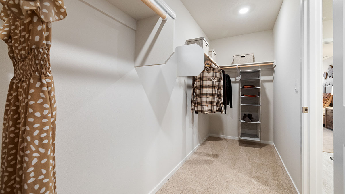 Primary bedroom walk-in closet with built-in shelves