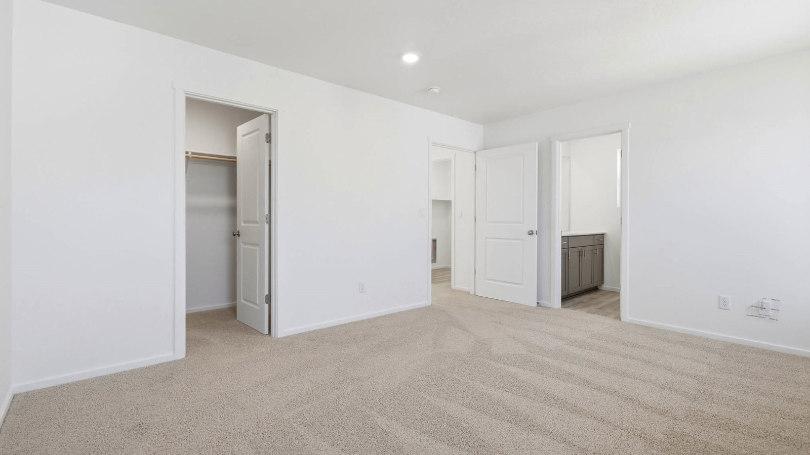 Primary bedroom with wall-to-wall carpet, a walk-in closet and an attached bathroom