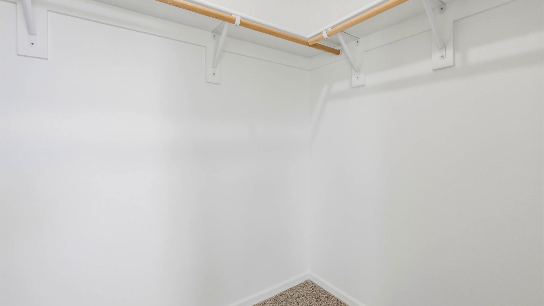 Primary bedroom with wall-to-wall carpet, a walk-in closet and an attached bathroom