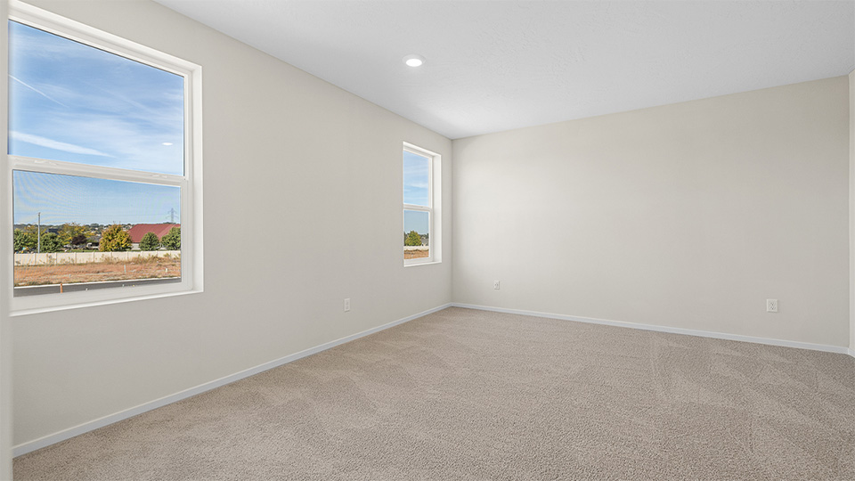Primary bedroom with wall-to-wall carpet, a walk-in closet and an attached bathroom