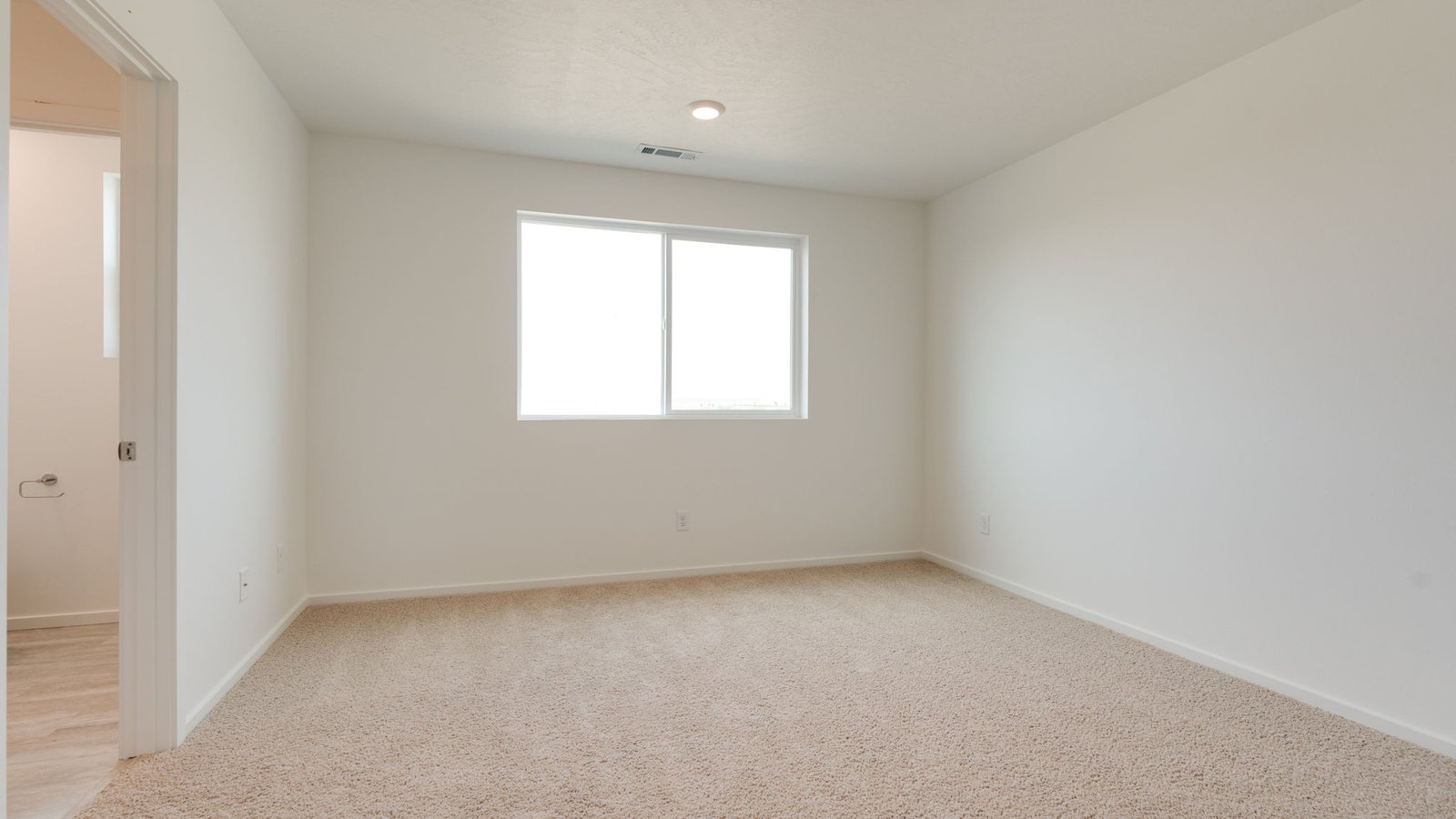 Primary bedroom with wall-to-wall carpet, a walk-in closet and an attached bathroom