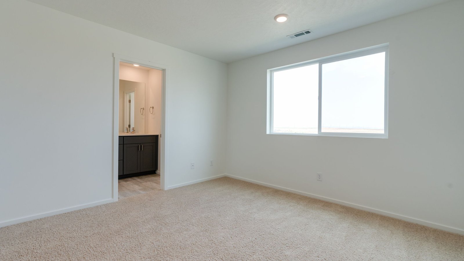 Primary bedroom with wall-to-wall carpet, a walk-in closet and an attached bathroom