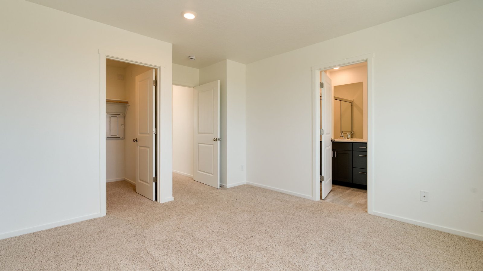 Primary bedroom with wall-to-wall carpet, a walk-in closet and an attached bathroom