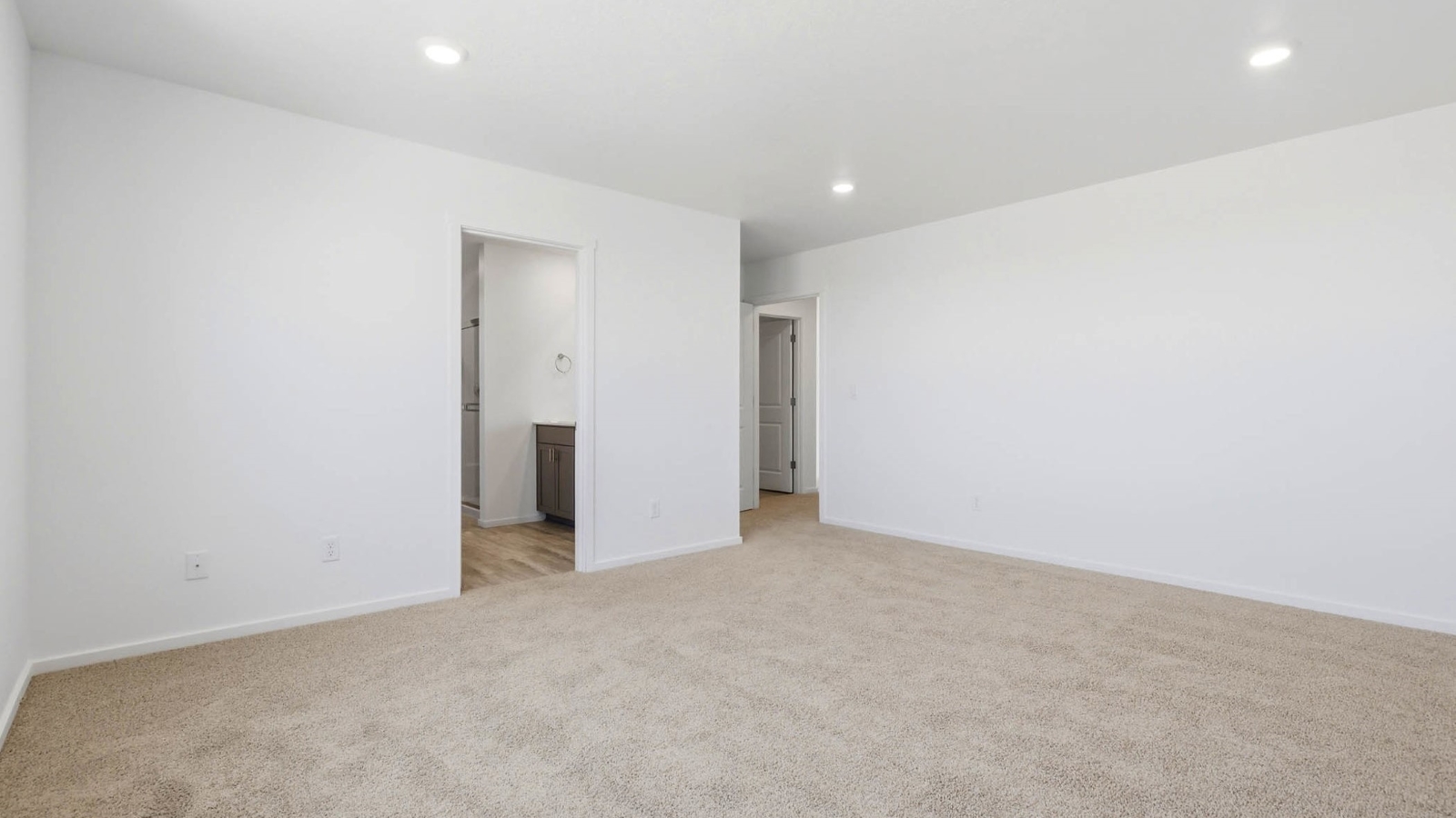 Primary bedroom with wall-to-wall carpet, a walk-in closet and an attached bathroom