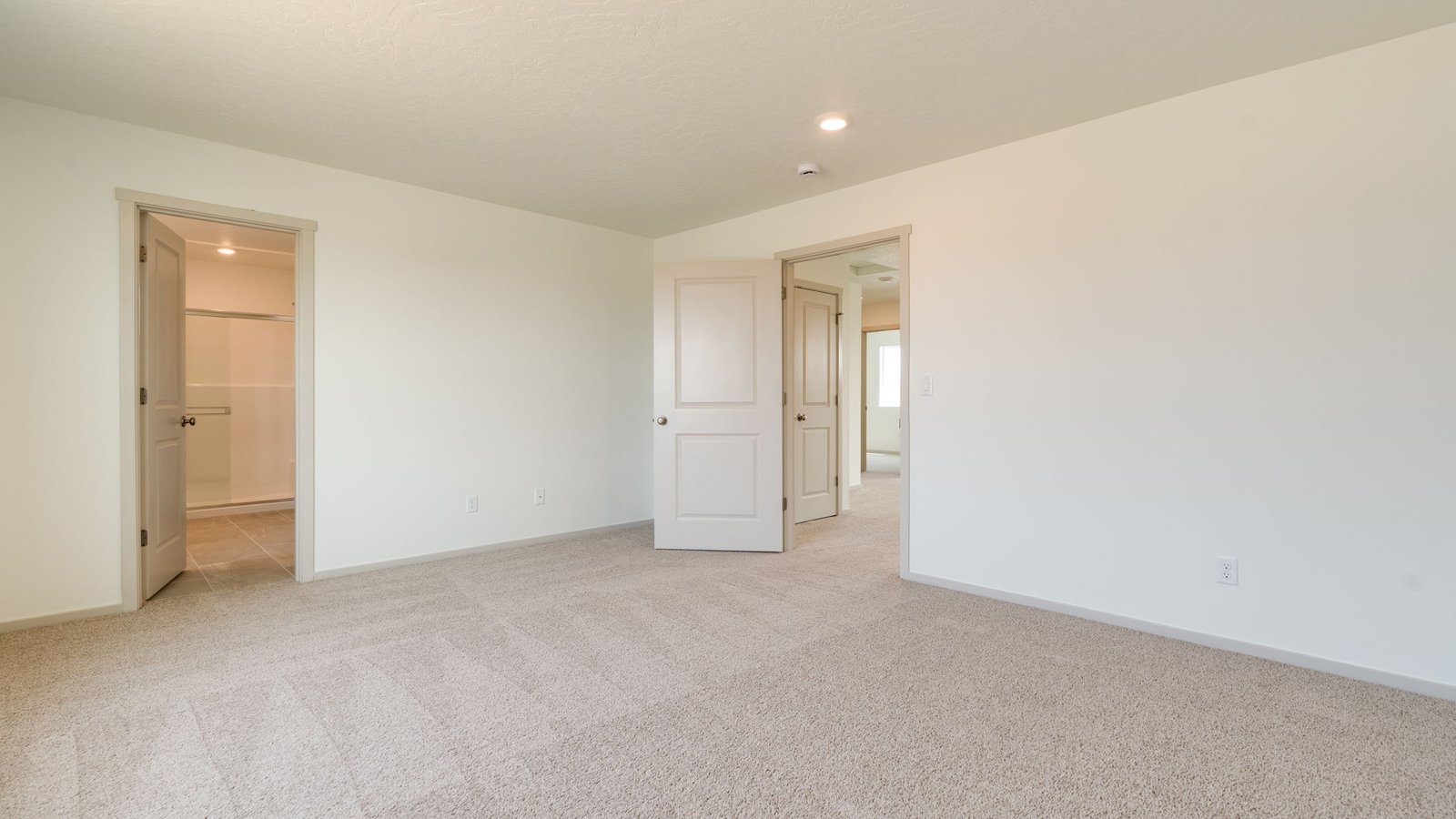 Primary bedroom with wall-to-wall carpet, a walk-in closet and an attached bathroom