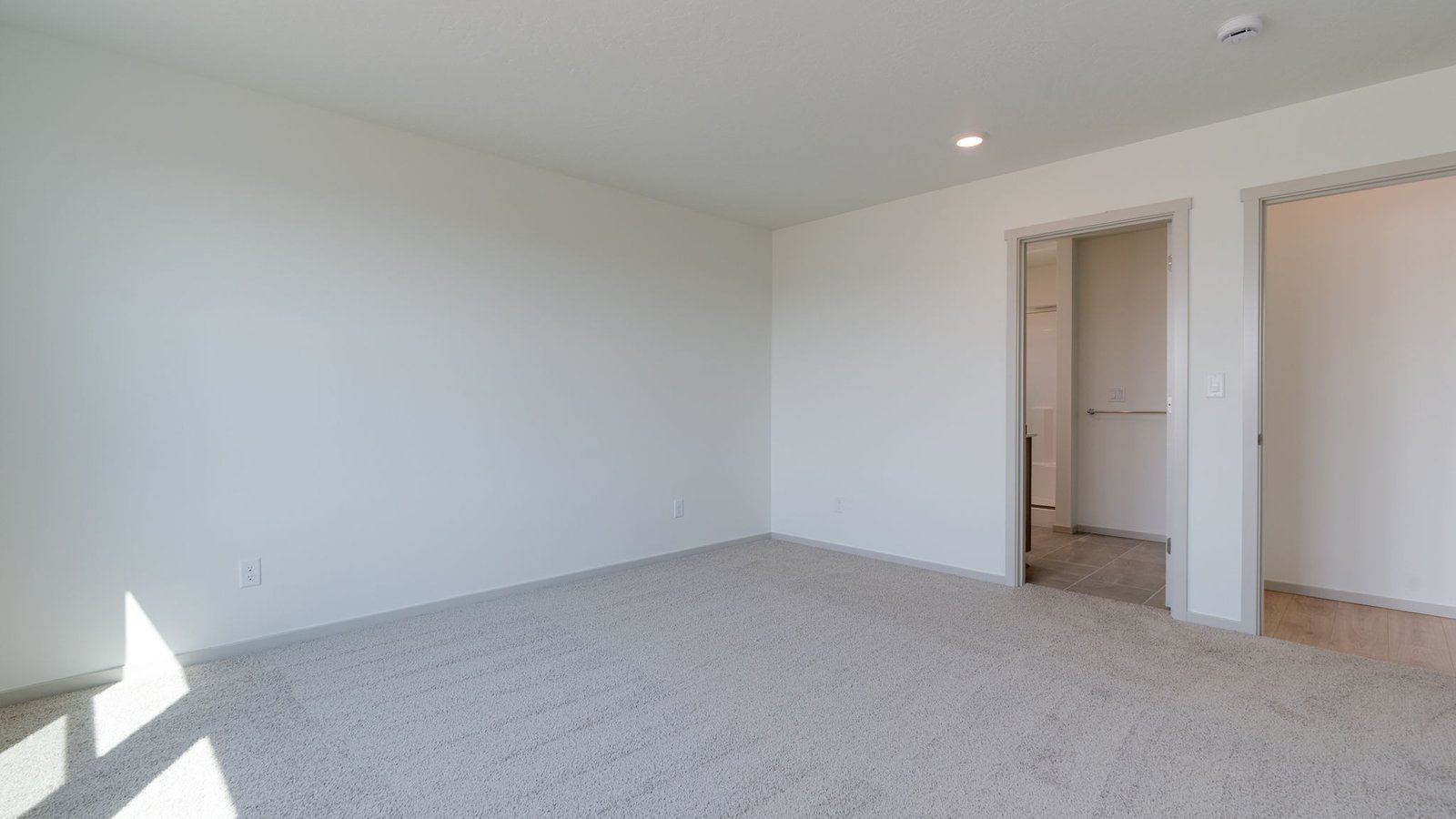 Primary bedroom with wall-to-wall carpet, a walk-in closet and an attached bathroom