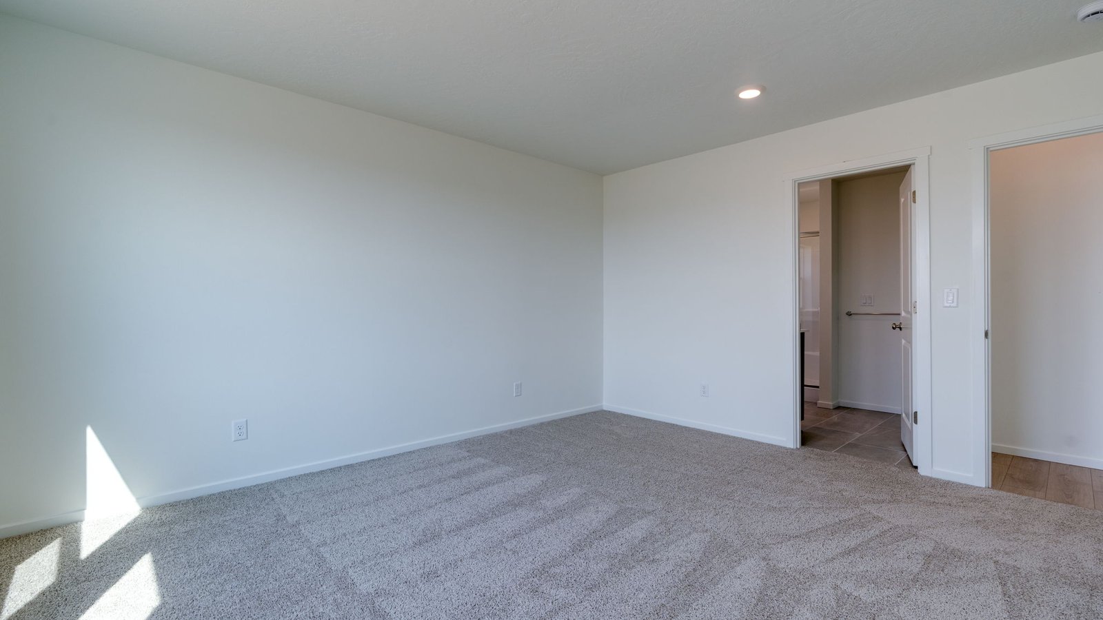 Primary bedroom with wall-to-wall carpet, a walk-in closet and an attached bathroom