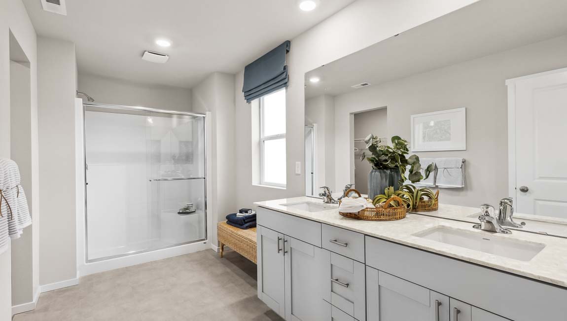 primary suite bathroom