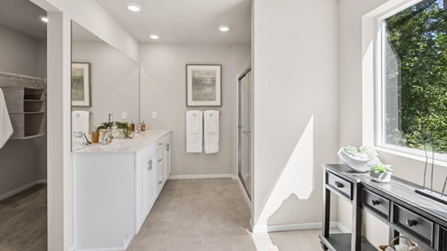 primary suite bathroom
