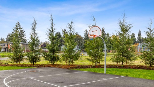 park